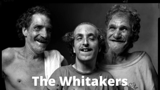 The Whitakers