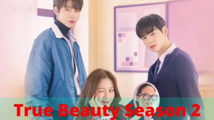 True Beauty Season 2
