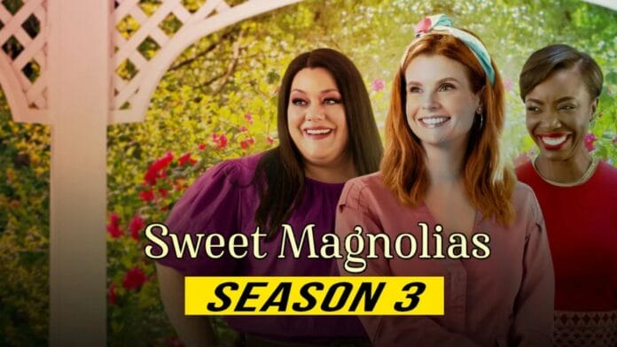 Sweet Magnolias Season 3 Release Date